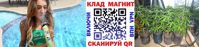 Виды наркоты Тында Амфетамин  Alpha-PVP  ГАШ  Cocaine  Бошки Шишки 