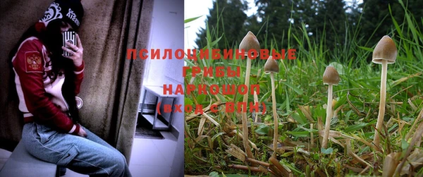 герыч Навашино