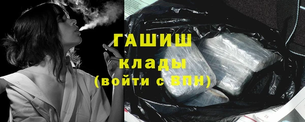 индика Надым