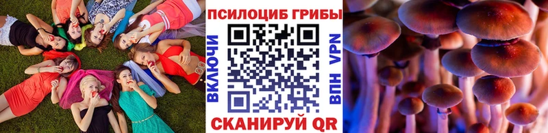 shop телеграм  hydra ONION  Тында  Псилоцибиновые грибы мицелий 
